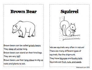Booklet: Forest Animals